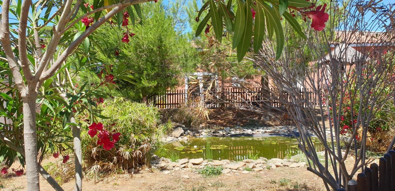 Maison Climatisee Avec Piscine Chauffee Calvisson Buitenkant foto